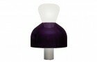 Lampe-Guillaume-Delvigne-bromo-standard