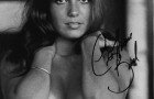 catherine bach seins standard